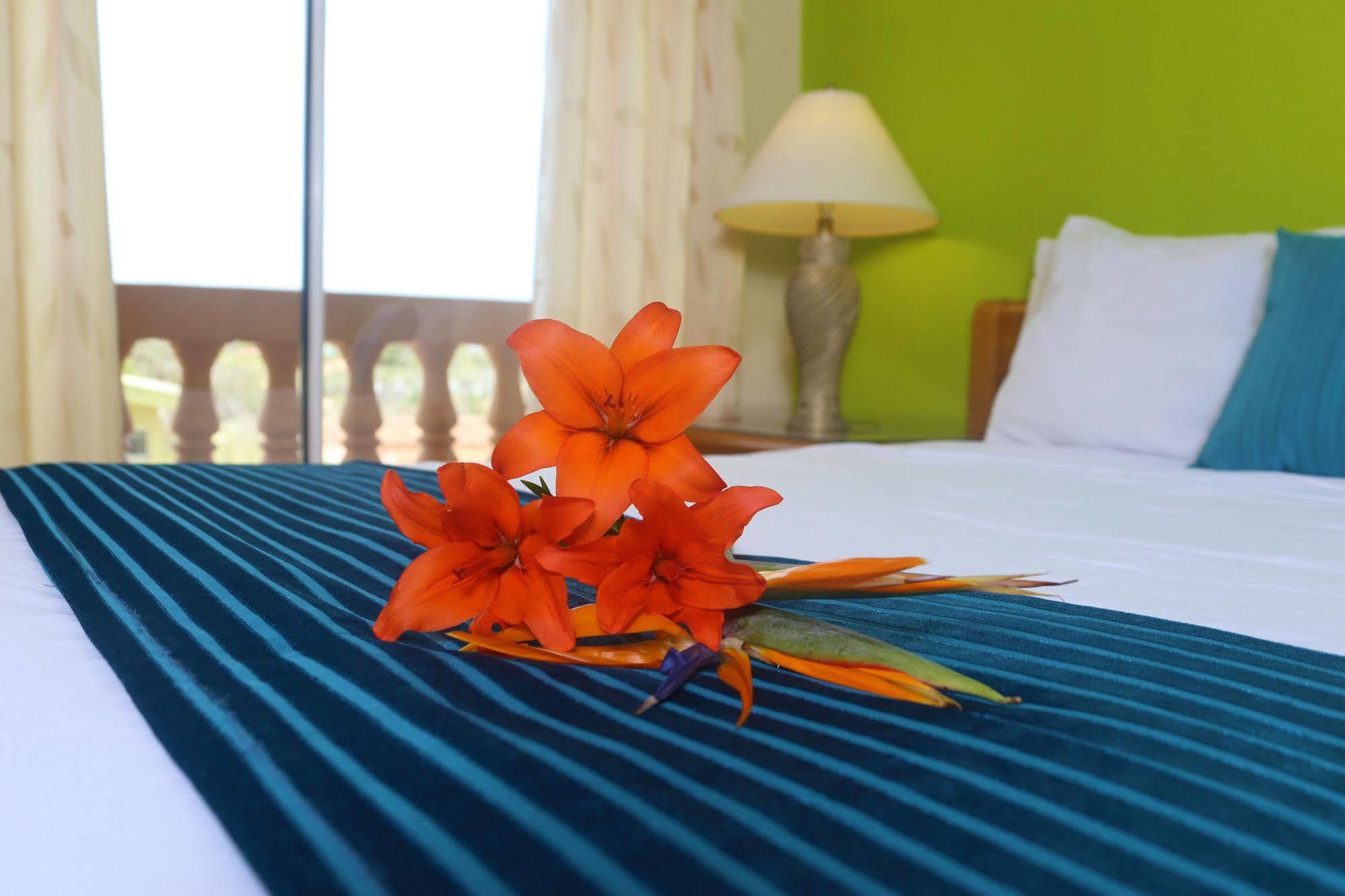 Punto Di Oro Apartments Resort Oranjestad Esterno foto